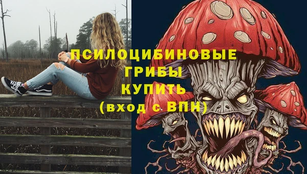 марки lsd Костерёво